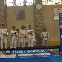 Ceintures 2 jcc 20260012