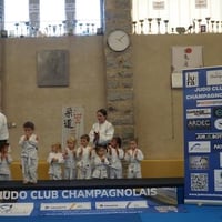 Ceintures jcc 20260001