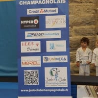 Ceintures jcc 20260007