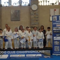 Ceintures jcc 20260039