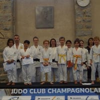 Ceintures jcc 20260060