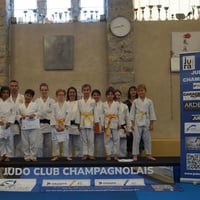 Ceintures jcc 20260061