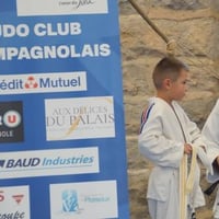 Ceintures jcc 20260071