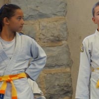 Ceintures jcc 20260092