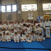Ceintures jcc 20260116
