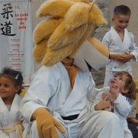 Ceintures jcc 20260122