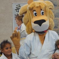Ceintures jcc 20260124
