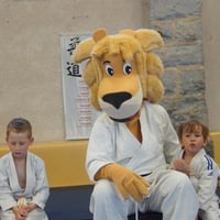 Ceintures jcc 20260128