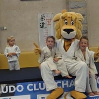 Ceintures jcc 20260130