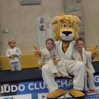 Ceintures jcc 20260131