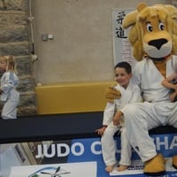 Ceintures jcc 20260132