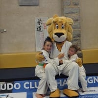 Ceintures jcc 20260136