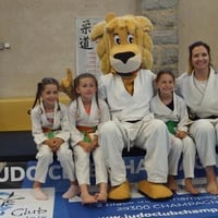 Ceintures jcc 20260138