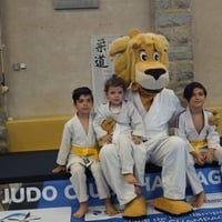 Ceintures jcc 20260140
