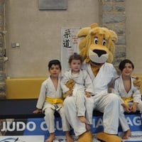 Ceintures jcc 20260141