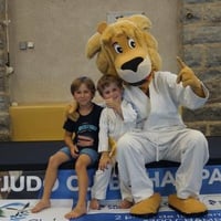 Ceintures jcc 20260146