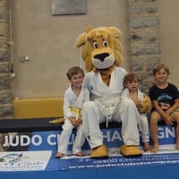 Ceintures jcc 20260148